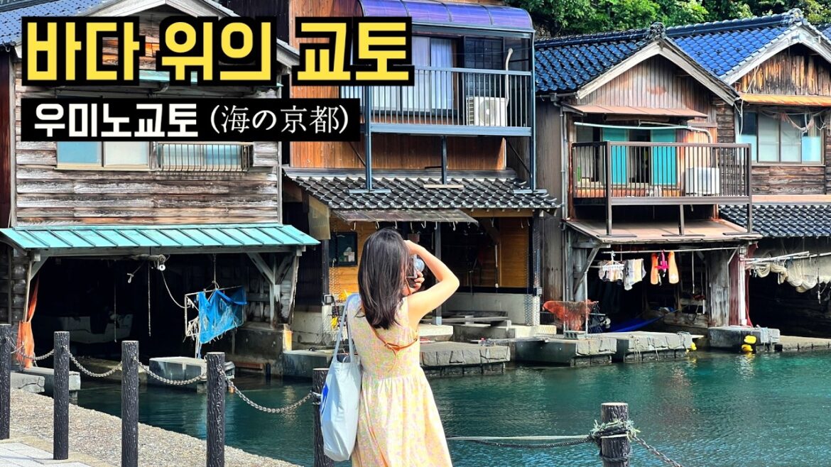 ๐ฏ๐ต ์ผ๋ณธ์ฌํ | ์ผ๋ณธ์ ์ ํ๊ฒฝ ์ฐ๋ฏธ๋
ธ๊ตํ  (ๆตทใฎไบฌ้ฝ) โฐ๏ธ ์ด๋ค๋
ธํ๋์ผ, ์๋ง๋
ธํ์๋คํ
 ๐ฏ๐ต ์ผ๋ณธ์ฌํ | ์ผ๋ณธ์ ์ ํ๊ฒฝ ์ฐ๋ฏธ๋
ธ๊ตํ  (ๆตทใฎไบฌ้ฝ) โฐ๏ธ ์ด๋ค๋
ธํ๋์ผ, ์๋ง๋
ธํ์๋คํ
