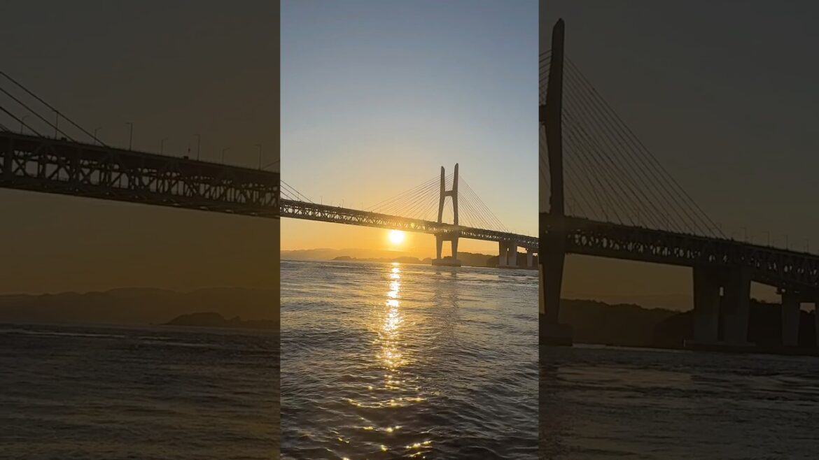 2025年 開運 初日の出クルーズ #Shorts