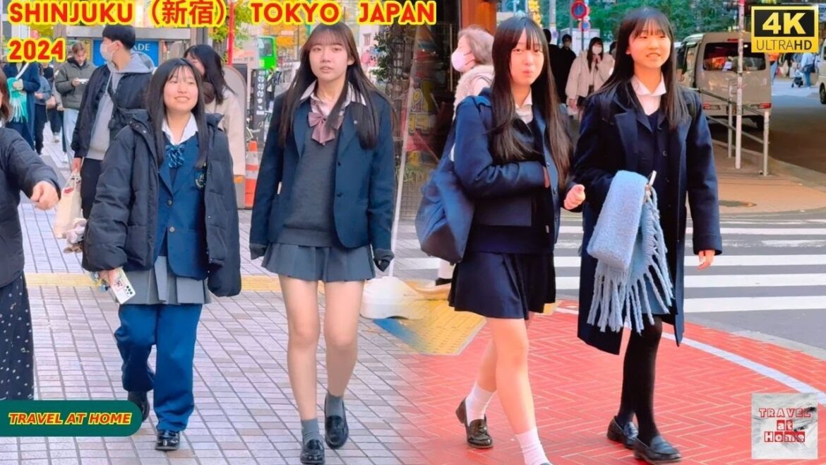 4k hdr japan travel 2024 | Walk in Shinjuku(新宿)Tokyo Japan | Relaxing Natural City ambience 4k hdr japan travel 2024 | Walk in Shinjuku(新宿)Tokyo Japan | Relaxing Natural City ambience