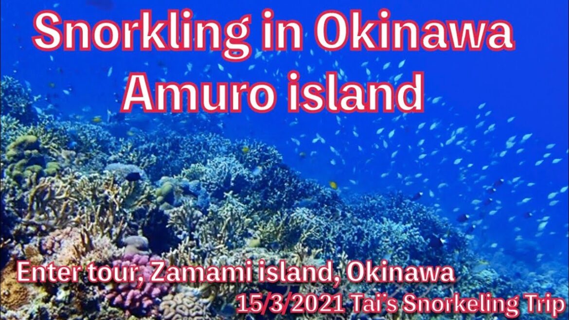 【#31 Tai’s Snorkeling Trip in Okinawa】Amuro island, Zamami island, Kerama islands, Okinawa, Japan 【#31 Tai’s Snorkeling Trip in Okinawa】Amuro island, Zamami island, Kerama islands, Okinawa, Japan