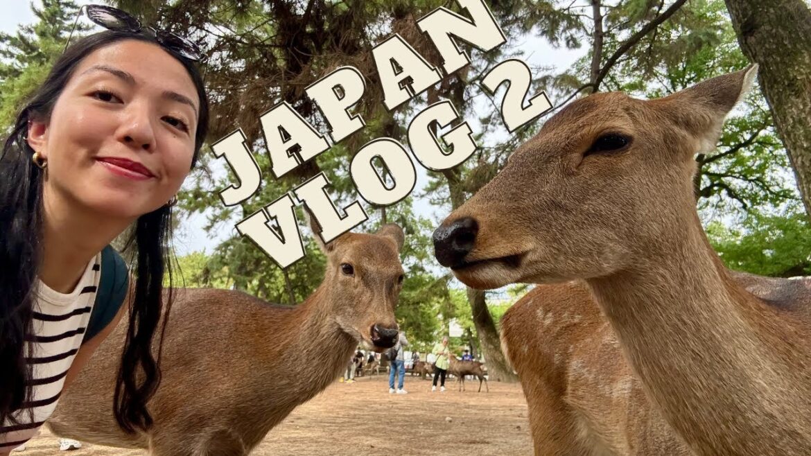 Japan vlog 2024, Part 2 : Nara - Kobe - Hiroshima - Osaka 🇯🇵