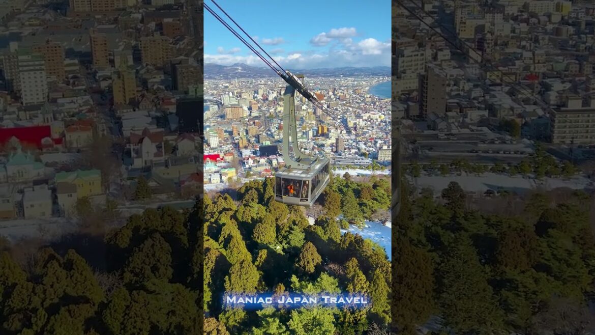 【約3分ショート動画】北海道 函館山ロープウェイ 山頂展望台➡山麓駅 2025.1.3 【約3分ショート動画】北海道 函館山ロープウェイ 山頂展望台➡山麓駅 2025.1.3