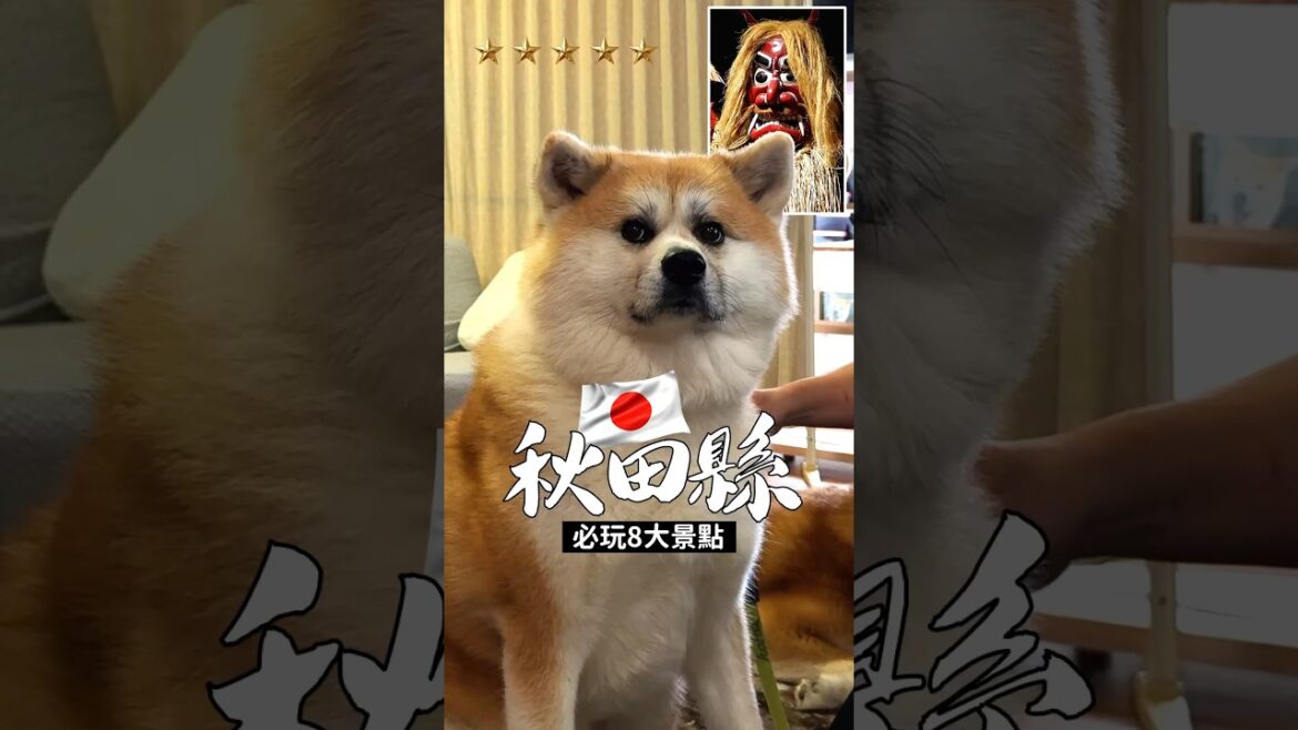 【秋田攻略】8大日本「秋田縣必玩」景點！一次看懂！