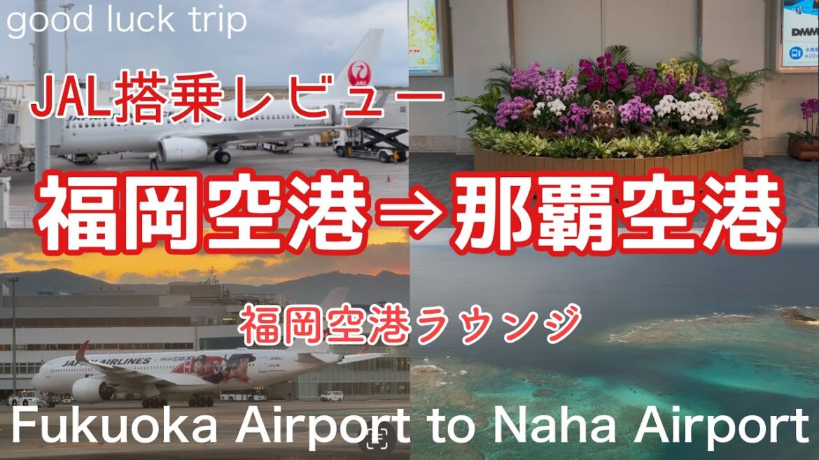 【福岡空港⇒那覇空港】JAL搭乗レビュー🌟福岡空港ラウンジや離陸する機内から見えた大谷翔平ジェットなど！