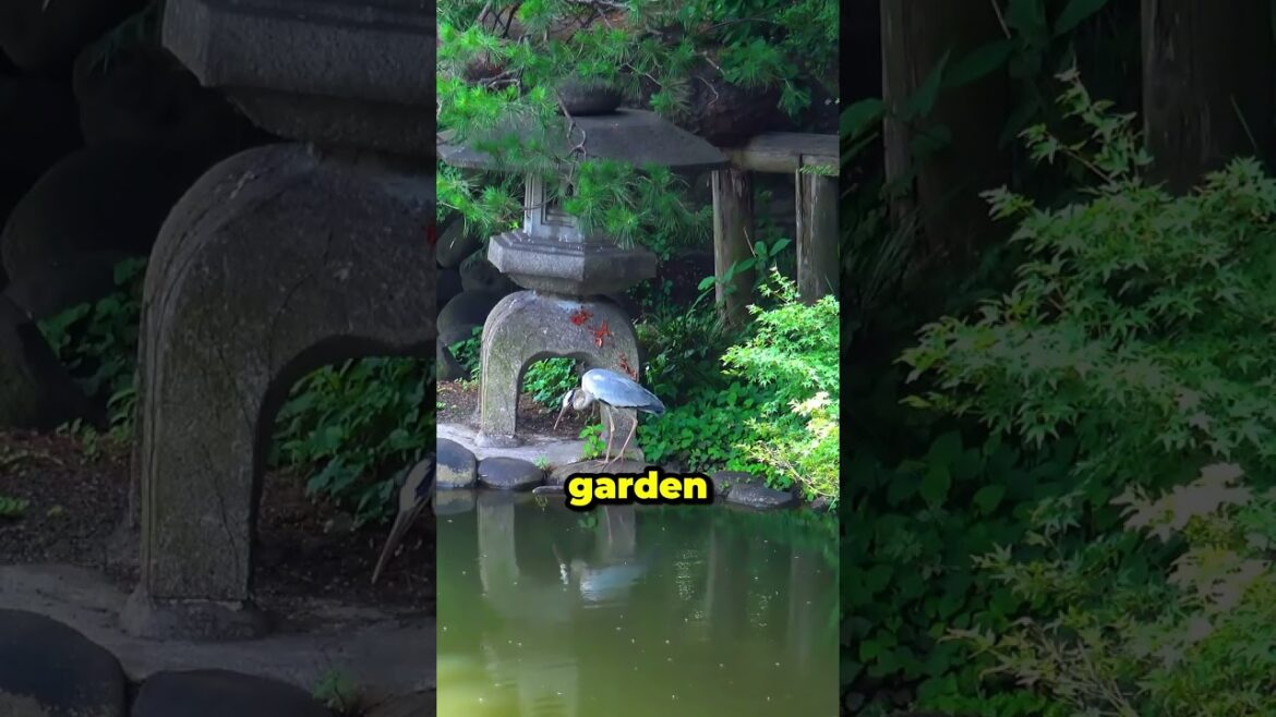 japan – tokyo - shinjuku gyoen national garden I 4K I #shorts #travel #tokyo #japan