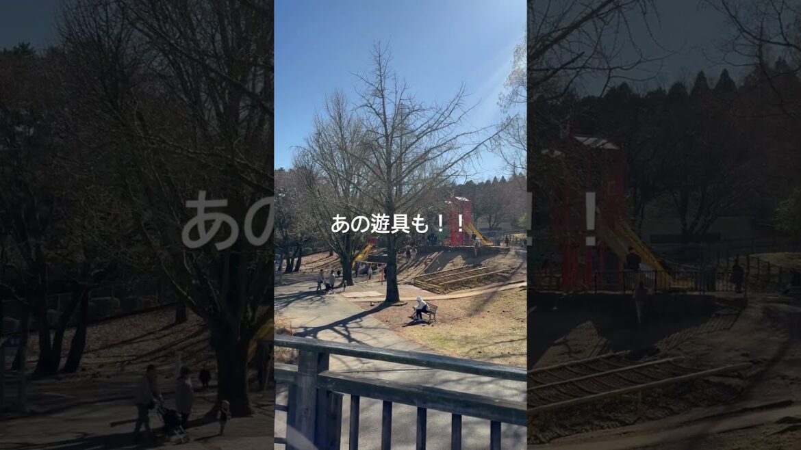 九州の阿蘇市に来てます！ここはどこでしょうか！？わかった人は、コメントください！！