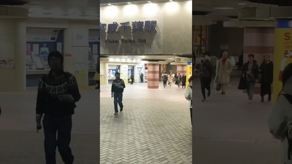 Japanese Routine #walk #japanwalk #chibajapan #foryou #tokyo #punjabisong #punjabi #music #song