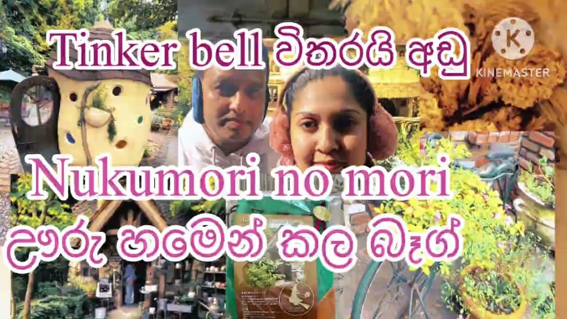 වැස්ස දවසේ උනත් ඒ තැනට ගිය එක ගැන ඇත්තටම සතුටුයි | Life in japan 🇯🇵🇱🇰|nukumori no mori