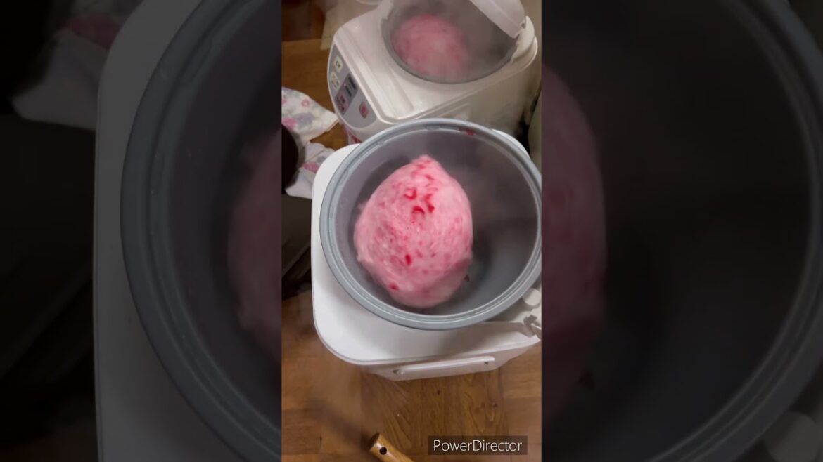 【OSAKA】 How to Prepare for New Year to Make Rice Cake, Mochi?