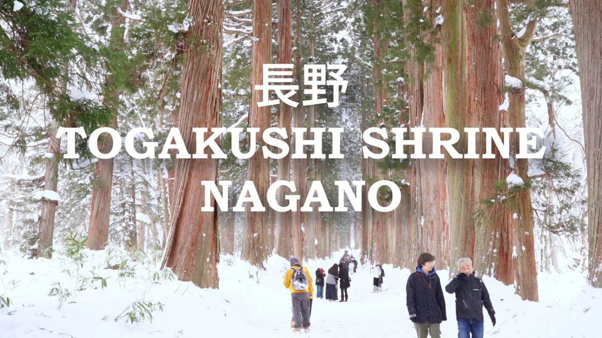 [4k] Togakushi Shrine ⛩️ 🇯🇵 - A Day Trip from Tokyo to Nagano