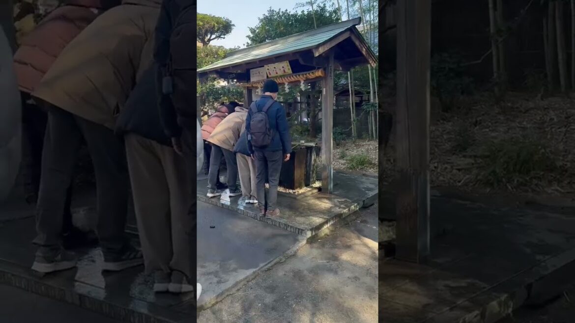 🇯🇵 Japońskie zwyczaje na nowy rok