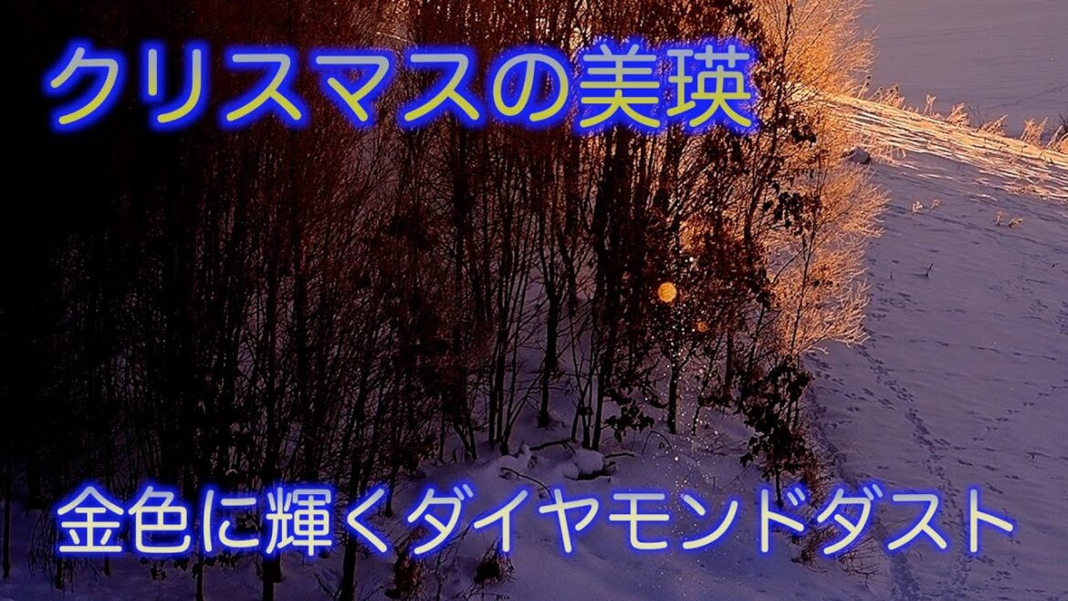 美瑛の丘をめぐる旅~2024秋クリスマス編~2日目 美瑛の丘をめぐる旅~2024秋クリスマス編~2日目