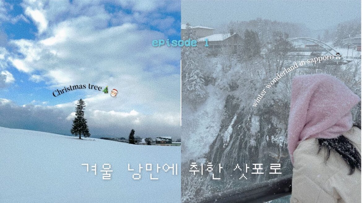 크리스마스 시즌 겨울 삿포로의 낭만❄️⛄️🎅🏻 | 비에이 크리스마스 트리, 세븐스타, 닝구르테라스, 크리스마스 마켓 구경
