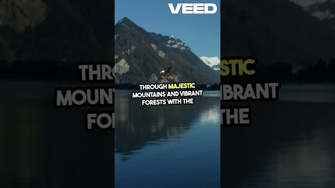 Stunning Train Journey Destinations! Stunning Train Journey Destinations!