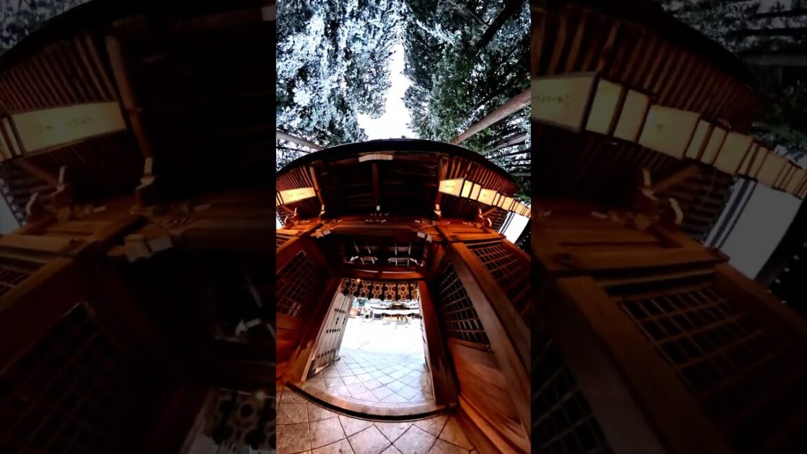 彌彦神社 #弥彦神社  #初詣 #早朝の景色 #神秘的な神社