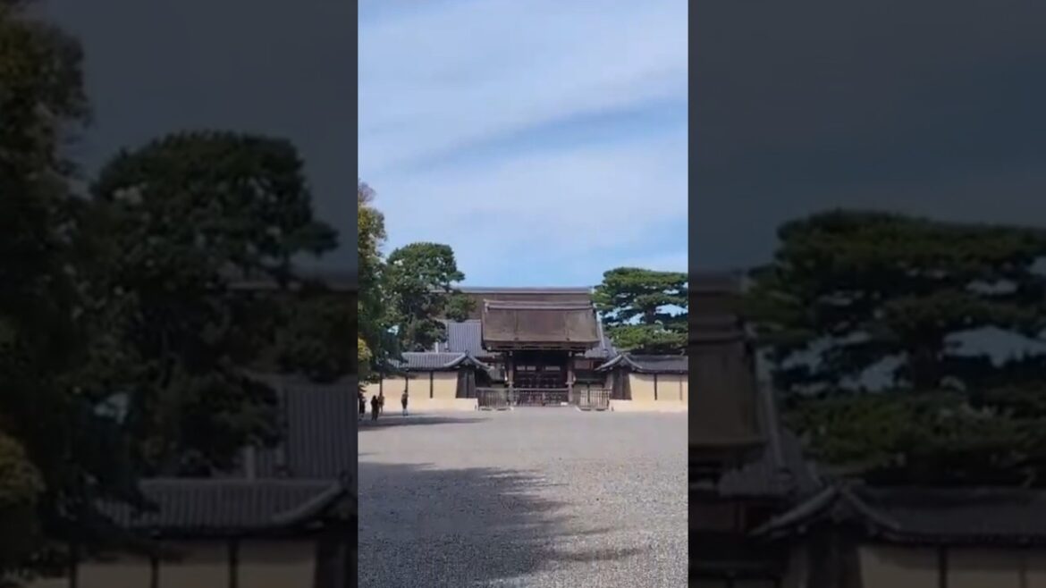 THE UNIQUE BEAUTY OF KYOTO GYOEN NATIONAL PARK #travel #explore #japan #kyoto