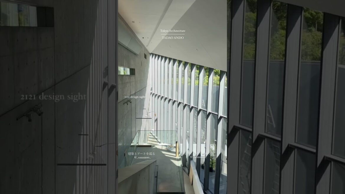 TOKYO ARCHITECTURE | TADAO ANDO BEST OF #安藤忠雄 #tokyoarchitecture #japantravel