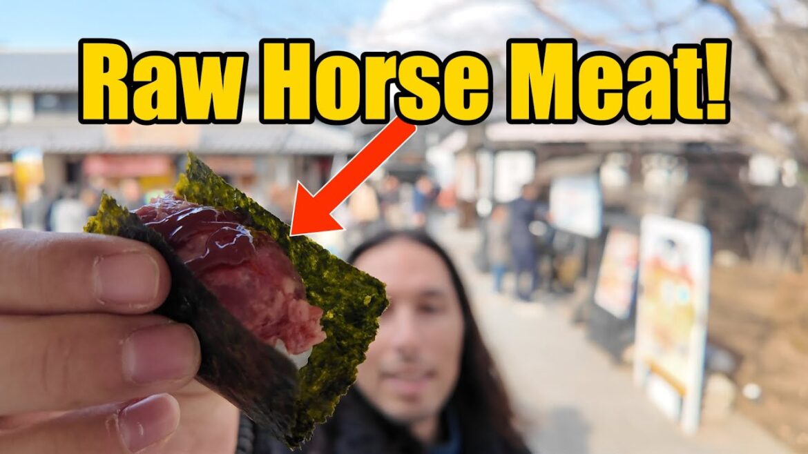 I Tried Raw Horse Meat and Explored Kumamoto Castle! 🇯🇵