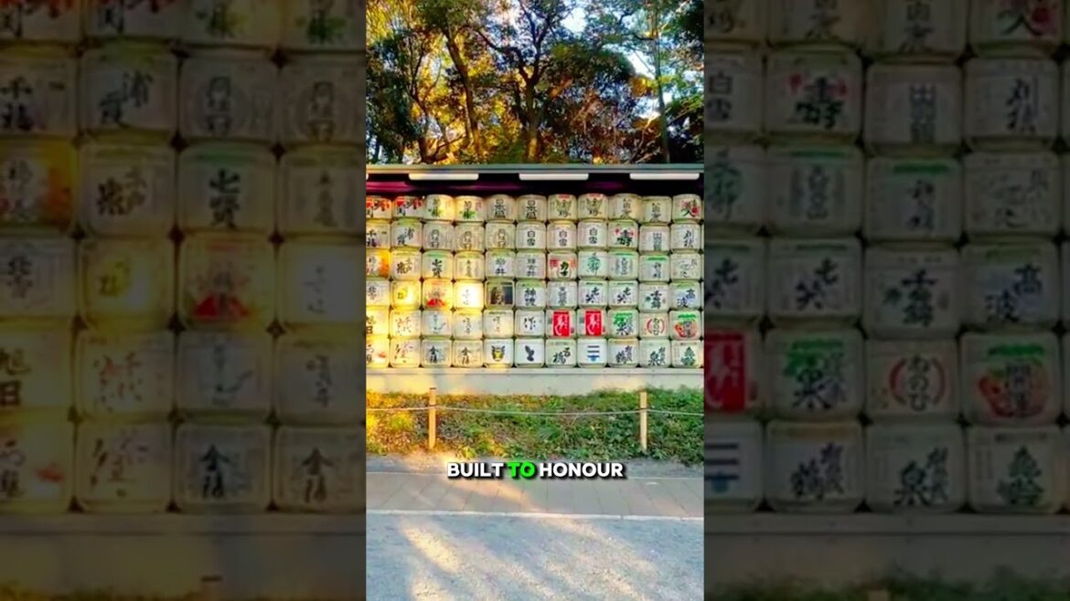Exploring Meiji Shrine: Tokyo’s Peaceful Escape | Silly Suitcase #japan #travel #ytshorts #facts