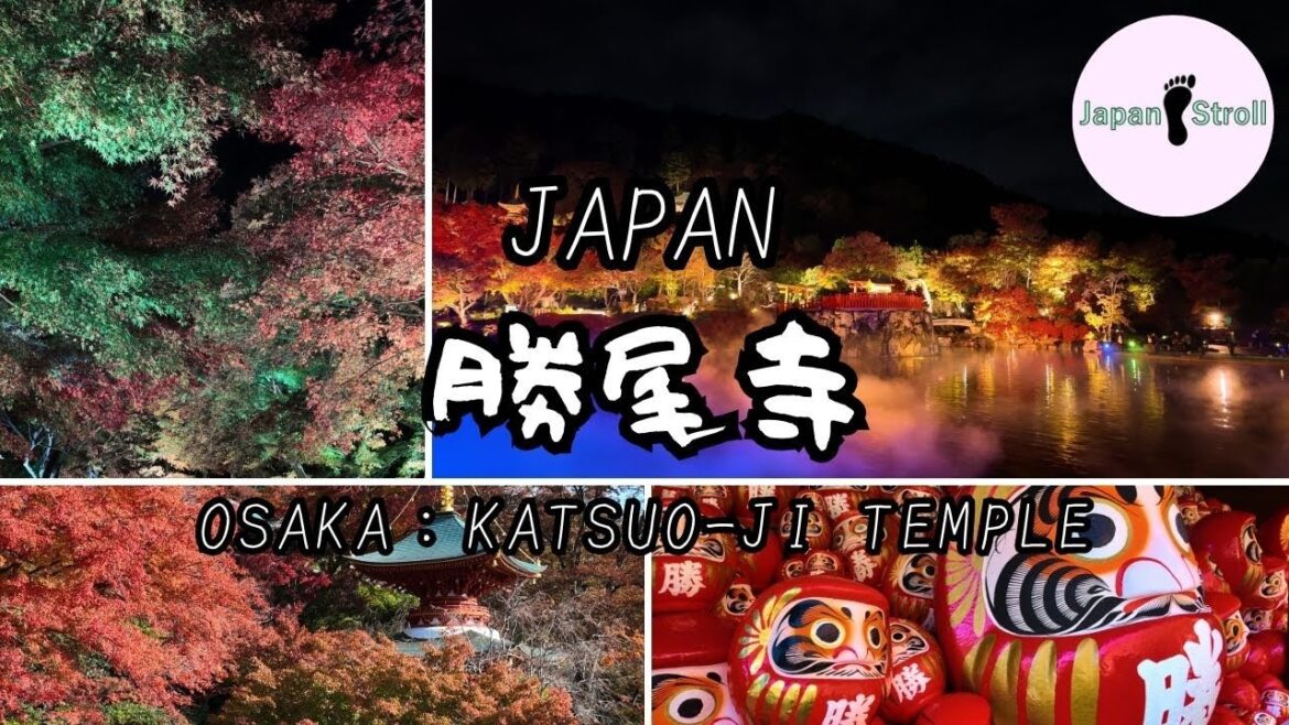 秋色の神秘!数千体のダルマがあるお寺へ紅葉狩りに行ってみた。『大阪:勝尾寺』 秋色の神秘!数千体のダルマがあるお寺へ紅葉狩りに行ってみた。『大阪:勝尾寺』
