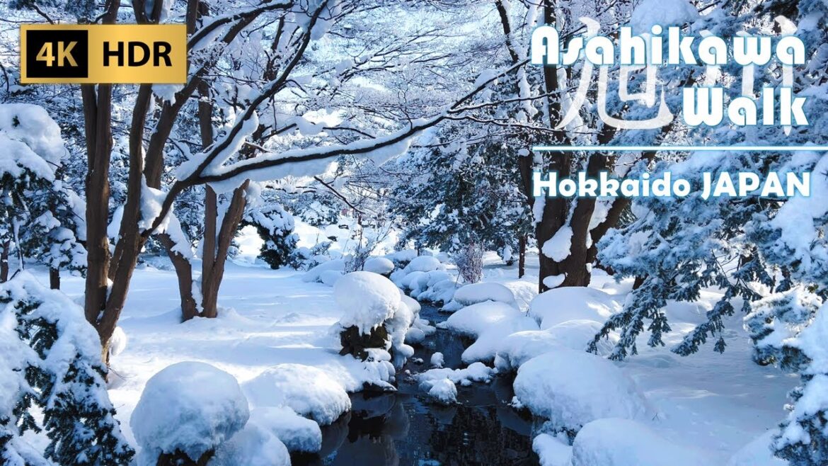 Snowy Walk Two Shrines in the New Year's Atmosphere in Asahikawa | Hokkaido | Japan | 4K HDR