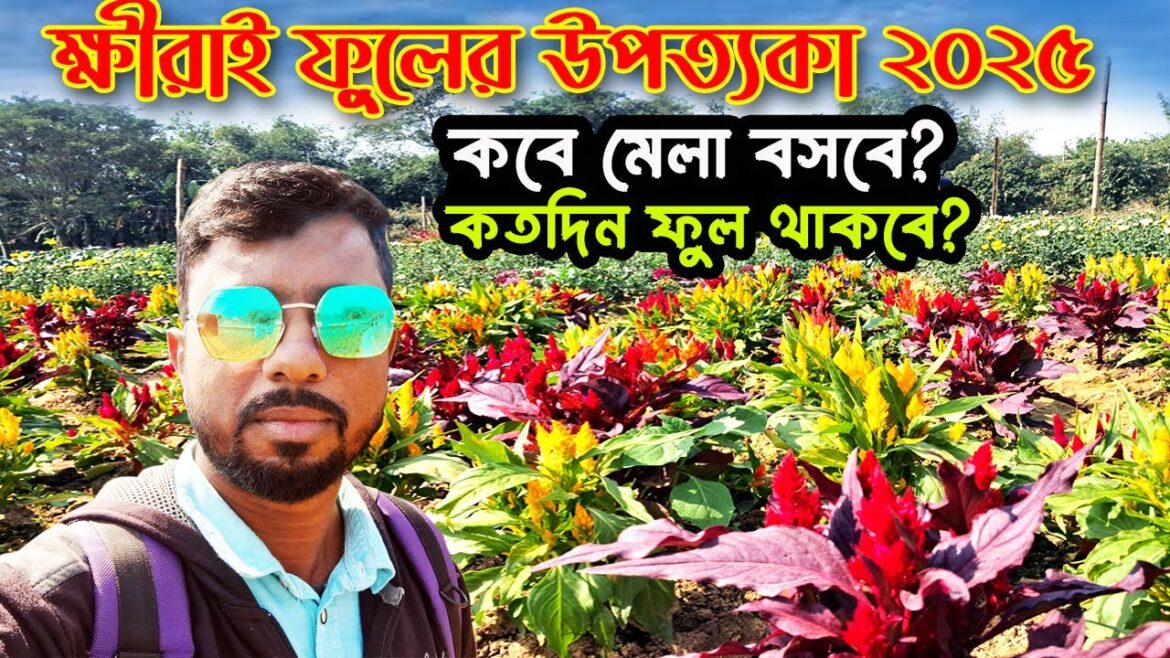 Khirai Flower Garden 2025 | Khirai Valley of Flowers | Khirai One Day Trip From Kolkata 2025 Khirai Flower Garden 2025 | Khirai Valley of Flowers | Khirai One Day Trip From Kolkata 2025