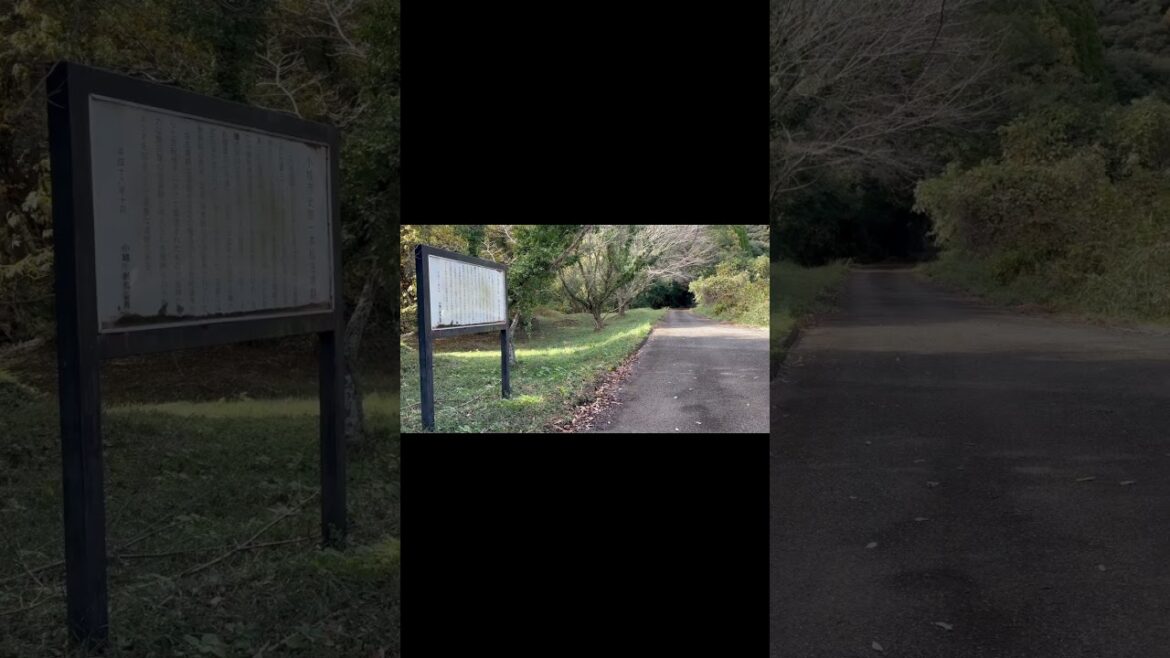 晴気城（肥前国）【内部に入れず】【佐賀県小城市】 #shorts