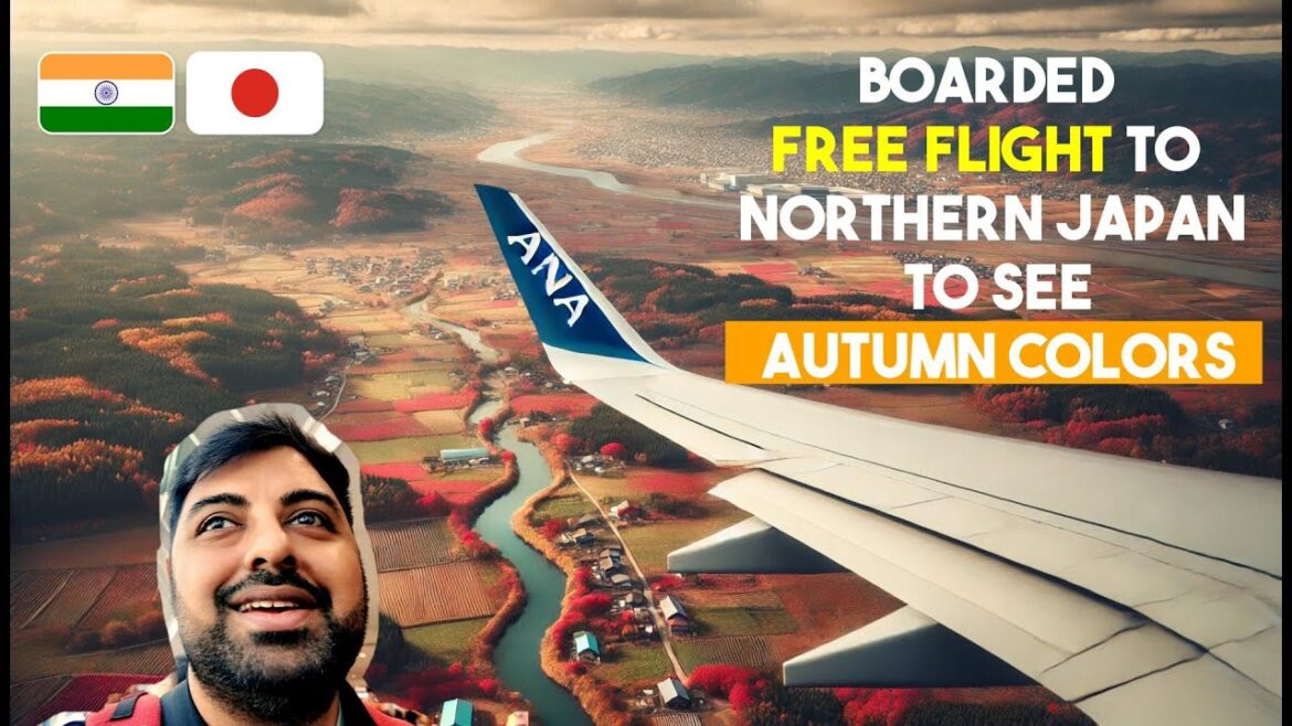 Day 3 | Indian in Japan | Tokyo to Sapporo | Autumn Foliage | Free ANA Flight