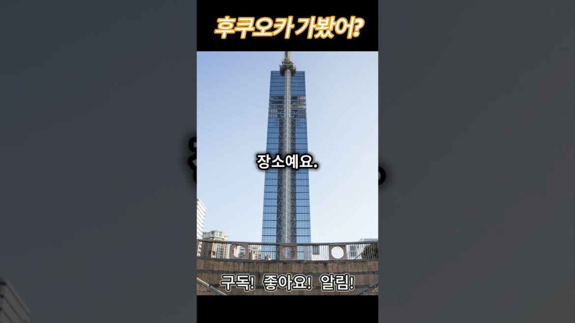 후쿠오카 여행 어디갈지 알려줄게!! #여행 #음식 #일본여행 #일본  #travel #shorts #shortvideo