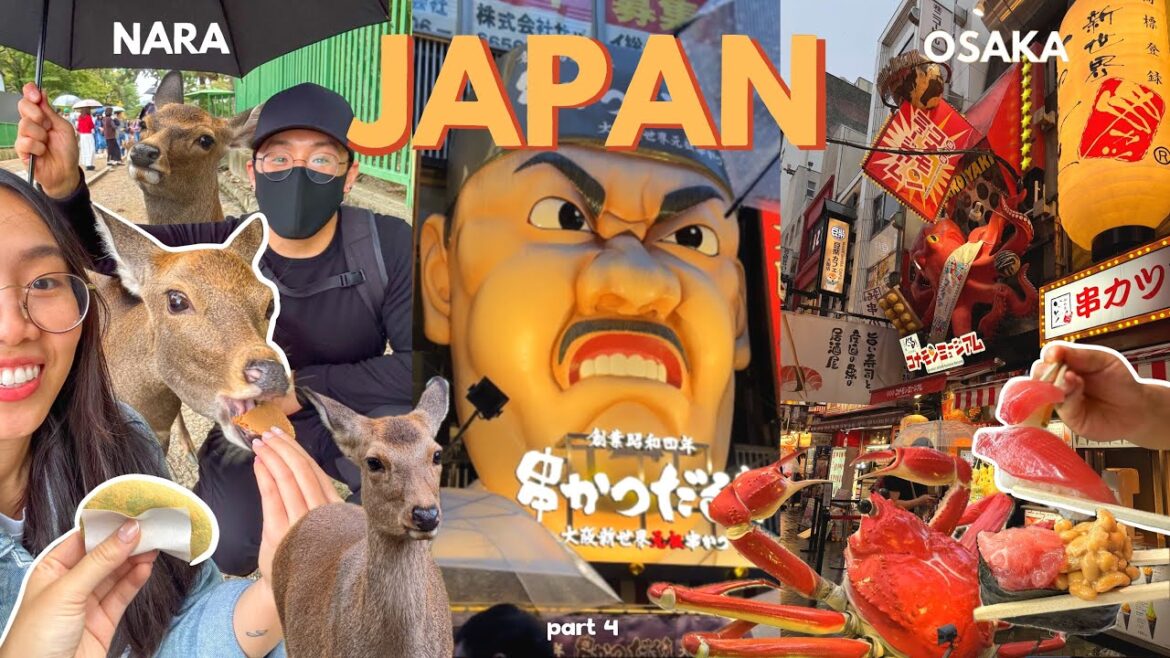 JAPAN VLOG | 🦌💫 exploring Nara, Mochi Pounding, evening in Osaka, Dotonburi