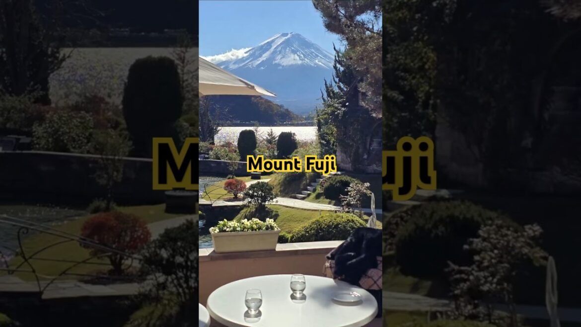 河口湖音楽と森の美術館 #japantravel #museum #kawaguchiko