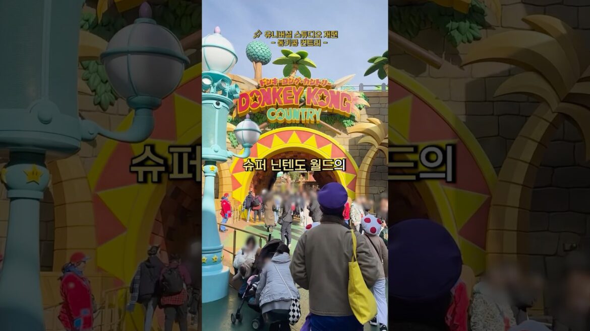 2024년 12월 11일 오픈한 동키콩 컨트리! 끊어진 레일이 스릴 있는 동키콩의 크레이지 트램카 타러 가자!🐒🌴