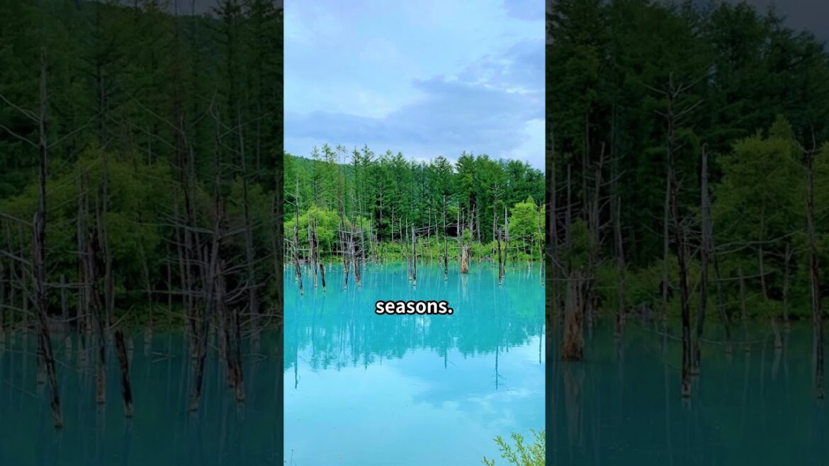 Discover Hokkaido’s Top 3 Hidden Gems: Unforgettable Japanese Experiences! Discover Hokkaido's Top 3 Hidden Gems: Unforgettable Japanese Experiences!