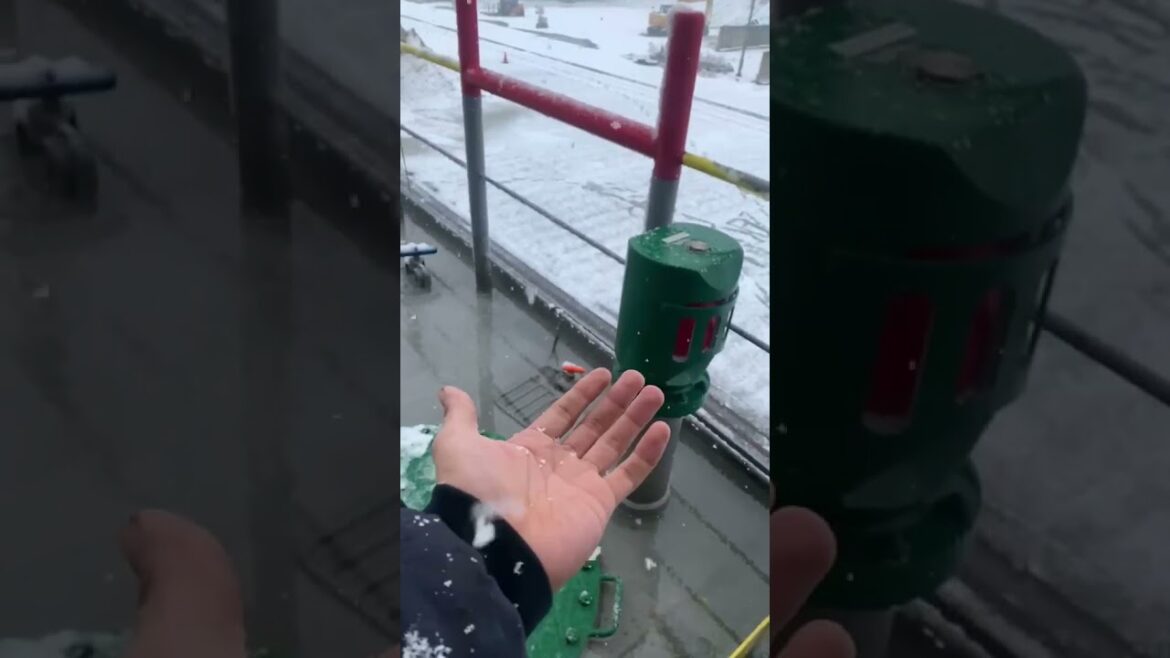 CATCHING THE SNOW FLAKES #shorts