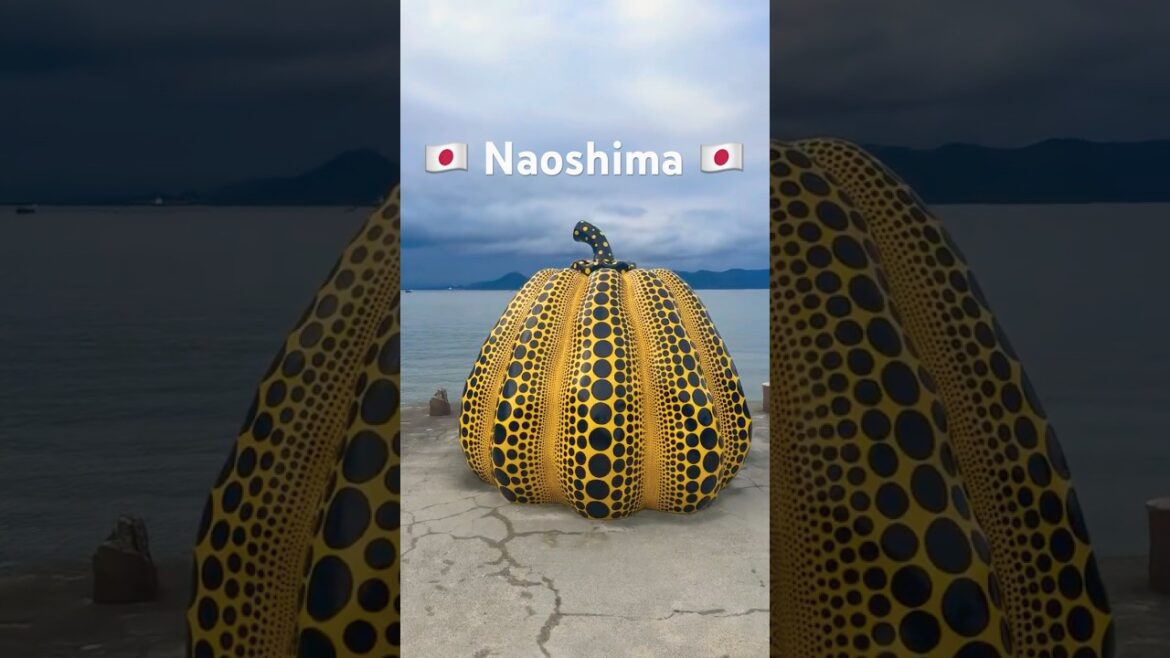 Biking around Naoshima, island full of art 🇯🇵