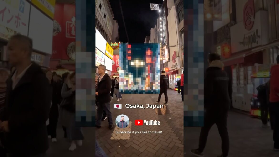 IS THIS JAPAN’S VENICE? #travelphotographer #osaka