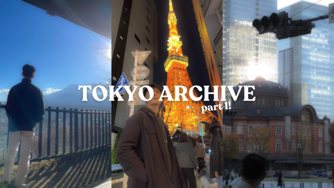 japan archive pt. 1 | 9 days in japan 🇯🇵 trip to mt. fuji, ginza shopping, and teamlabs borderless japan archive pt. 1 | 9 days in japan 🇯🇵 trip to mt. fuji, ginza shopping, and teamlabs borderless