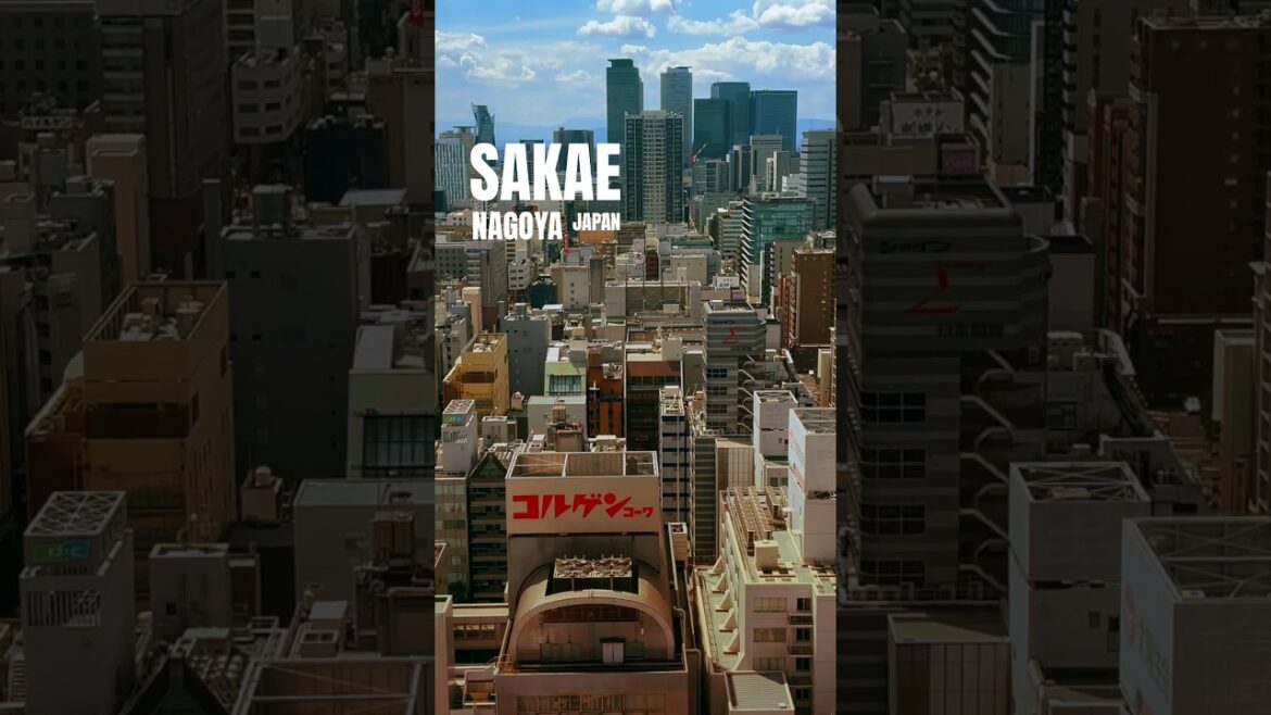 Sakae - the Vibrant Heart of Nagoya 🇯🇵