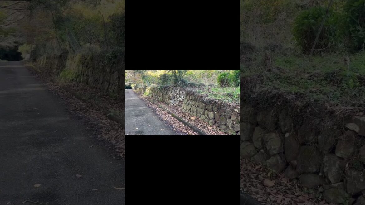 【肥前ことば】晴気城（肥前国）【内部に入れず】【佐賀県小城市】 #shorts