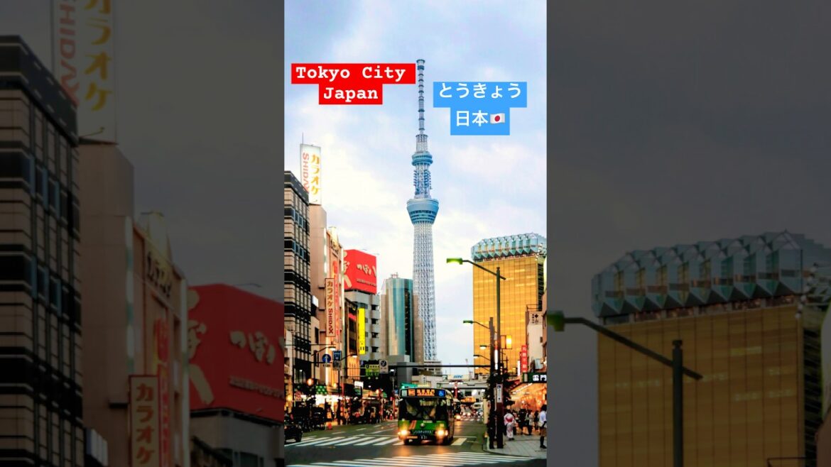 Tokyo City -Travel Japan #shorts #tokyo #japan