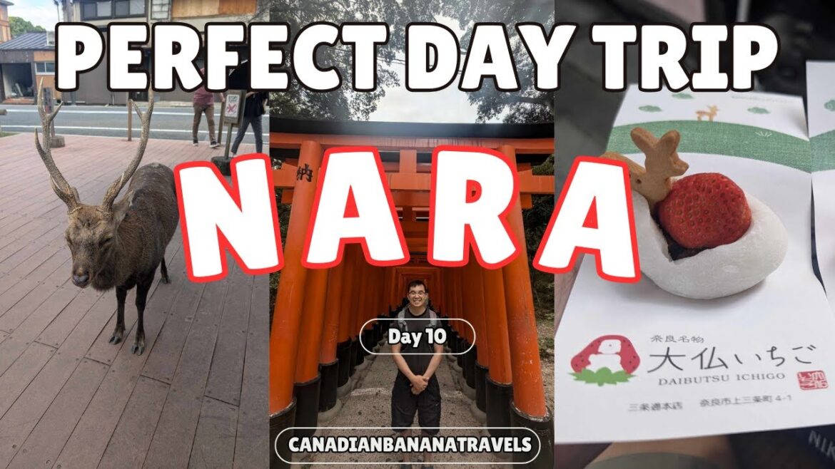 A Perfect Nara Day Trip from Kyoto π―π΅ A Perfect Nara Day Trip from Kyoto π―π΅