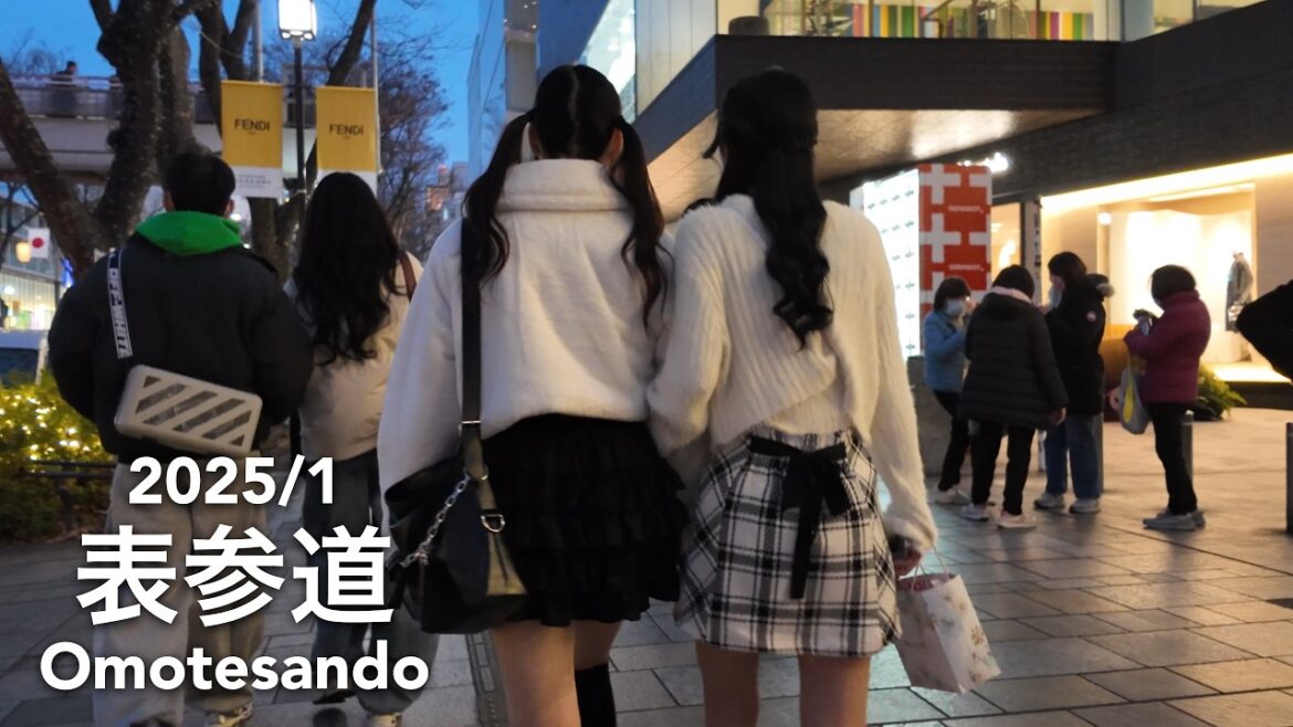 Weekend Walk in Tokyo: From Omotesando to Shibuya - 2025/1