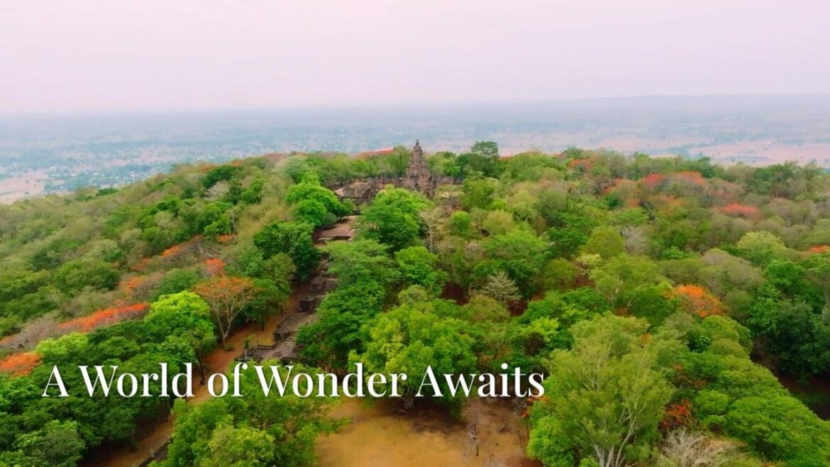 10 Enchanting Forests You Need to Explore in 2025 🌳✨