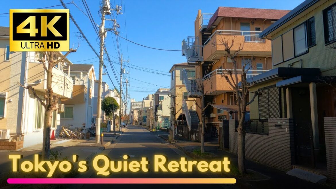 【Walking Tour】I discovered a PEACEFUL town in Tokyo: Kita-Ayase 【Walking Tour】I discovered a PEACEFUL town in Tokyo: Kita-Ayase