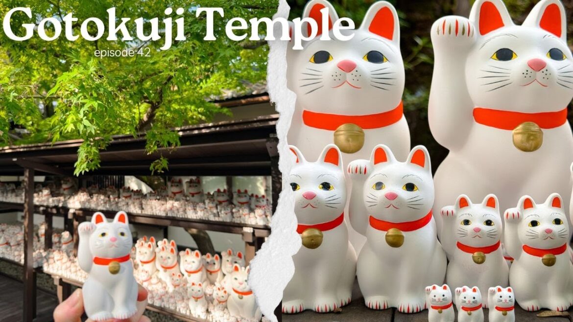 Gotokuji Temple ( Cat Temple) in Tokyo