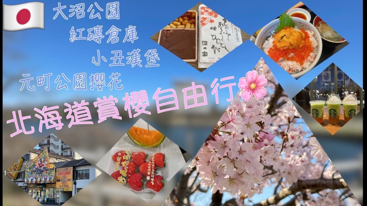 2024北海道賞櫻5天4夜自由行~函館(大沼公園、元町公園櫻花、金森紅磚倉庫群、小丑漢堡)Day4 2024北海道賞櫻5天4夜自由行~函館(大沼公園、元町公園櫻花、金森紅磚倉庫群、小丑漢堡)Day4
