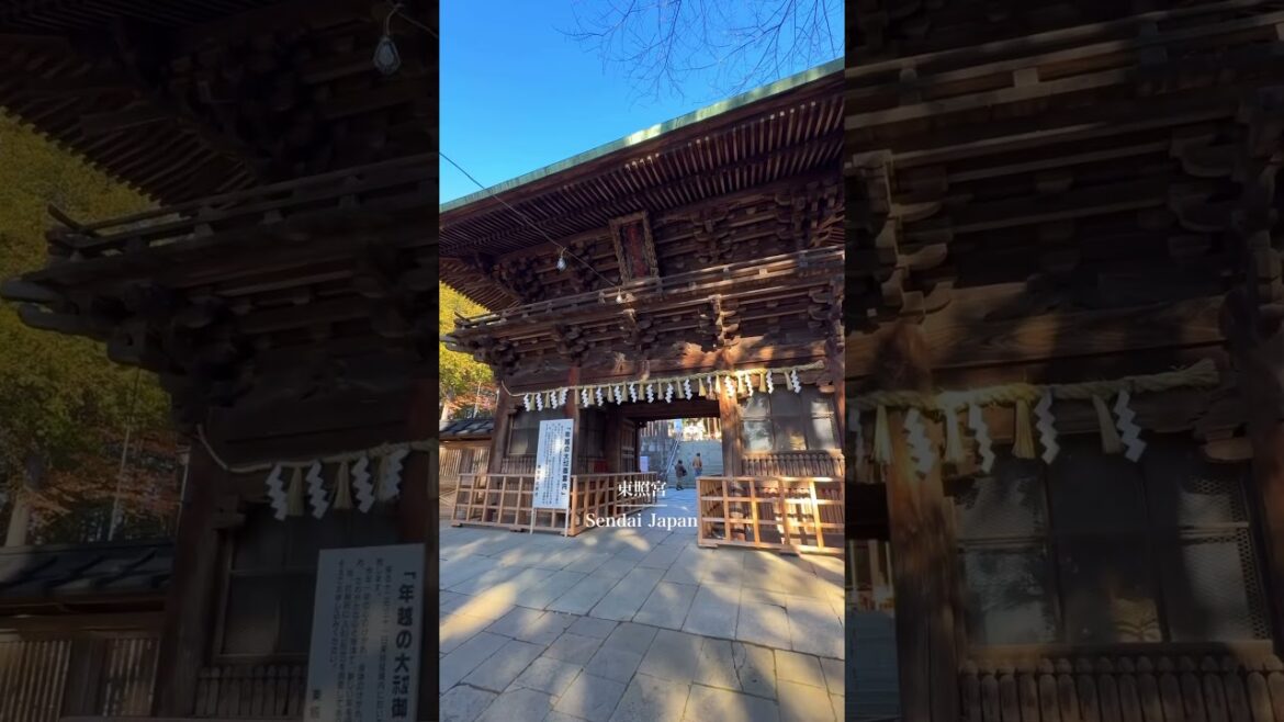【仙台神社】徳川家康を祀る神社⛩️#仙台旅行 #宮城旅行 #仙台神社 #神社 #japantravel #japantrip #japanshrine #shrine #sendai #shorts