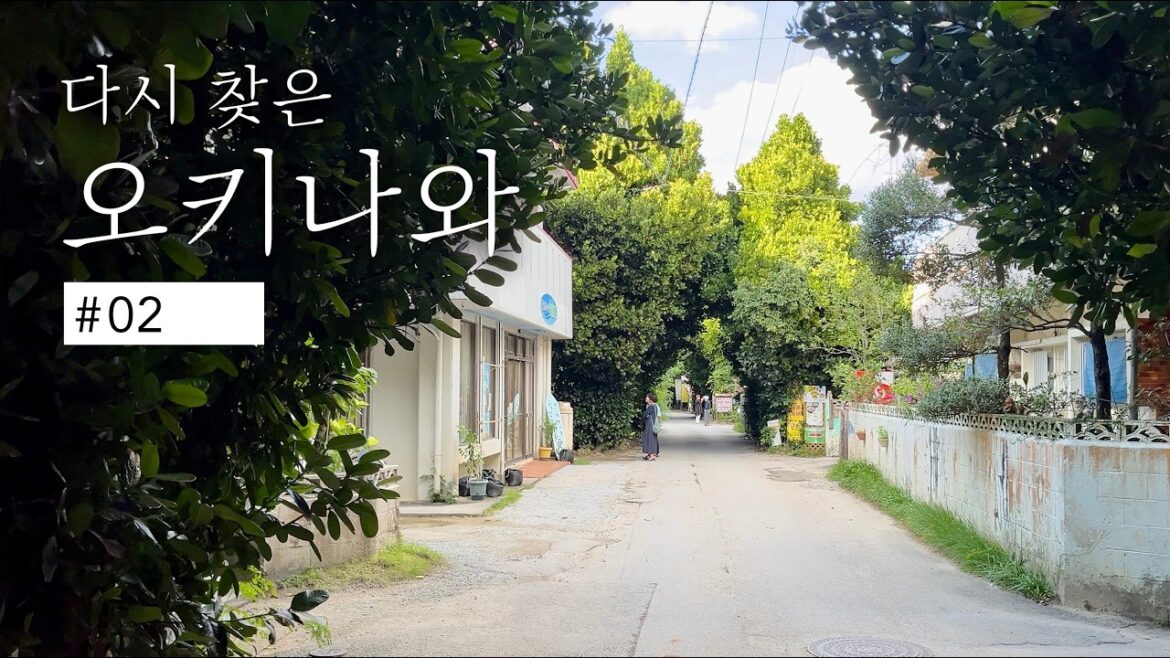 11월의 오키나와 여행 EP.02 | 오키나와 드라이브와 나하맛집