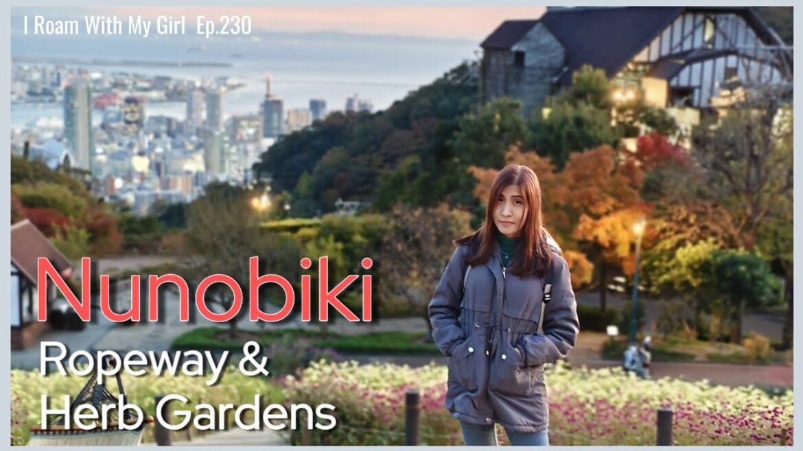 Ep.230 Kobe Trip 2024 / สวนสวยบนเขา กระเช้าโคตรแจ่ม ที่นี่ Nunobiki Herb Gardens & Ropeway เมืองโกเบ Ep.230 Kobe Trip 2024 / สวนสวยบนเขา กระเช้าโคตรแจ่ม ที่นี่ Nunobiki Herb Gardens & Ropeway เมืองโกเบ