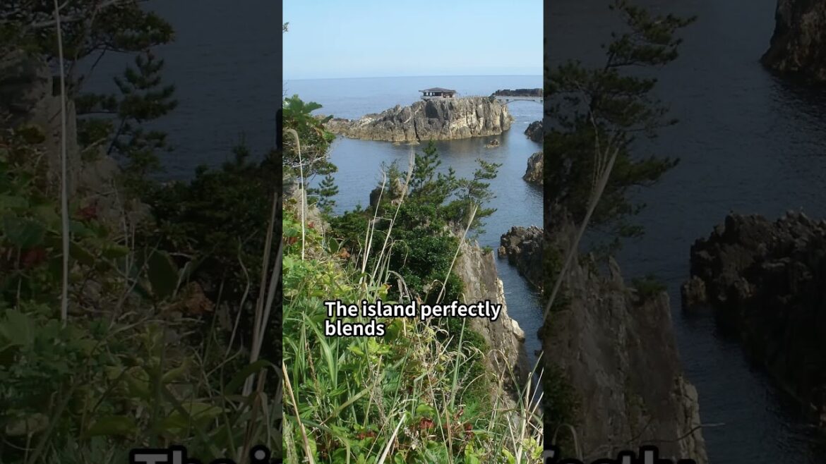 Niigata: Japan's Hidden Gem - Unveiling its Cultural & Natural Wonders